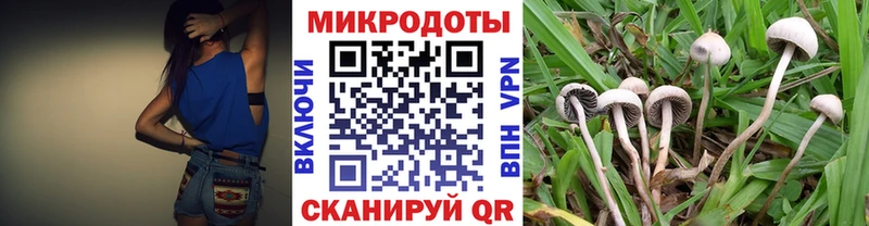 Галлюциногенные грибы Psilocybe  Купить закладки  Ханты-Мансийск 